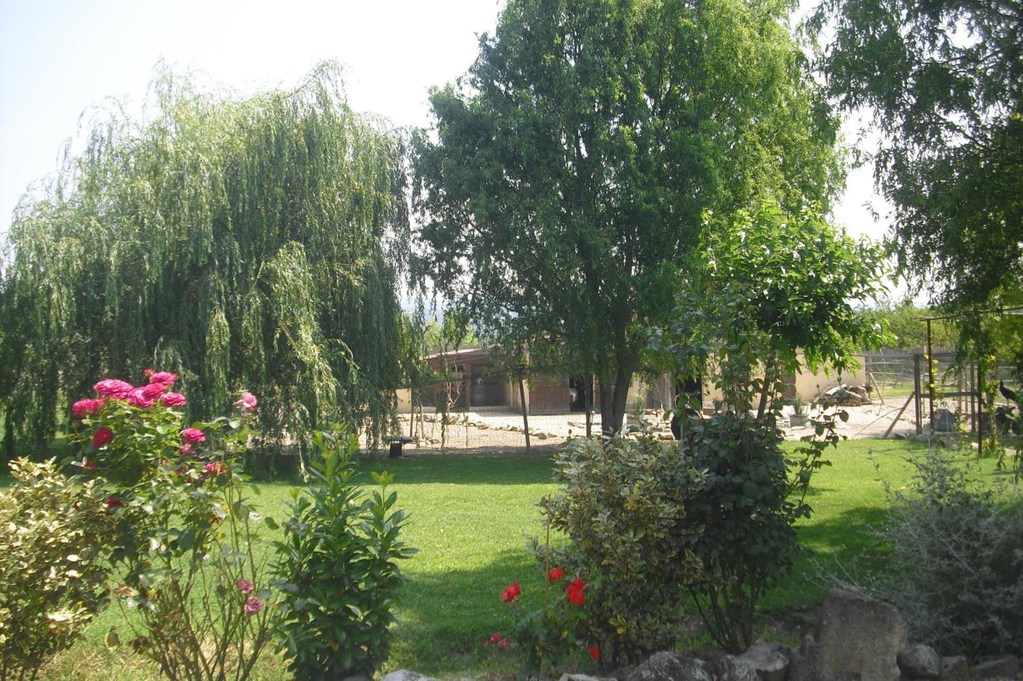 Apartamento Lou Mas Li Pitchoun "Le Cortassien " Gordes Exterior foto